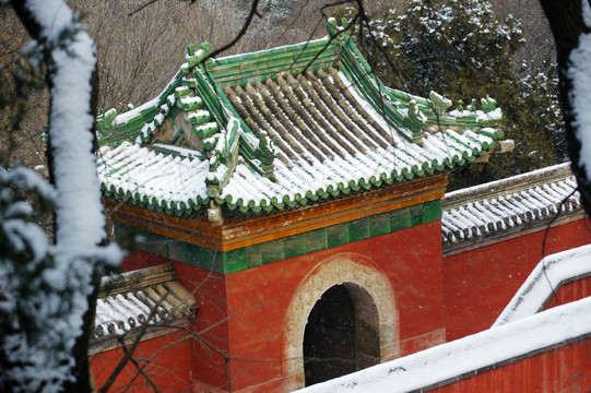 颐和园万寿山寺庙雪景