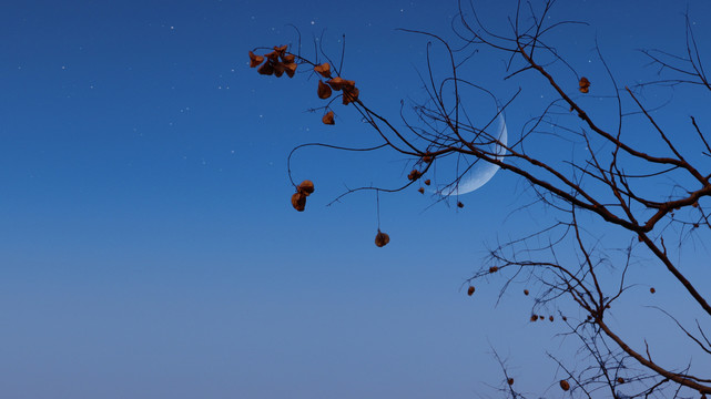 夜晚天空