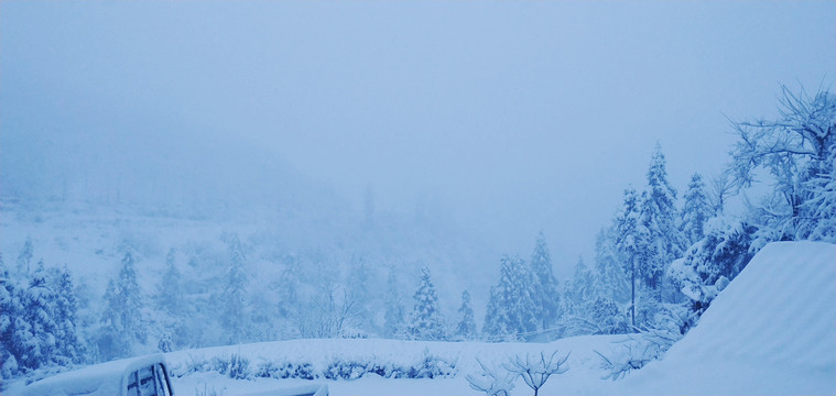 满天飞雪