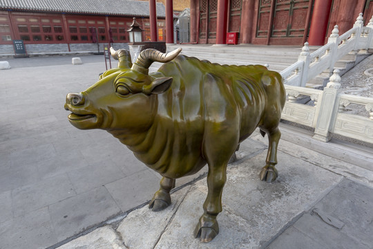 北京故宫箭亭前陈列的铜牛