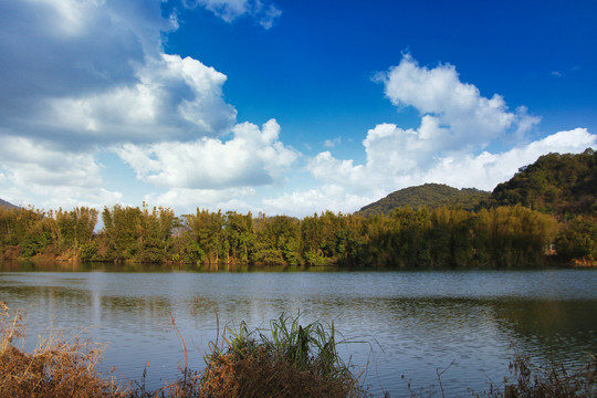 河景