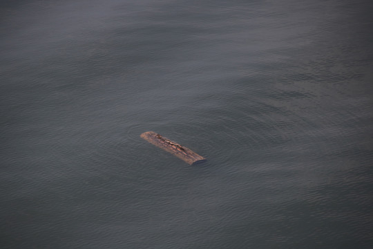 流溪河湖景