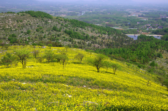 山岭远眺