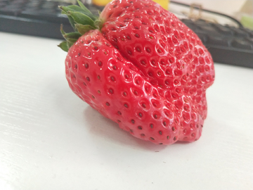 草莓