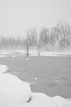 雪景