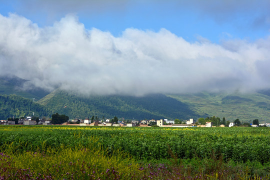 乡村风光