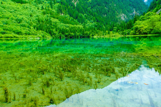 阿坝州风光