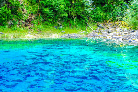 清澈见底的九寨沟湖水