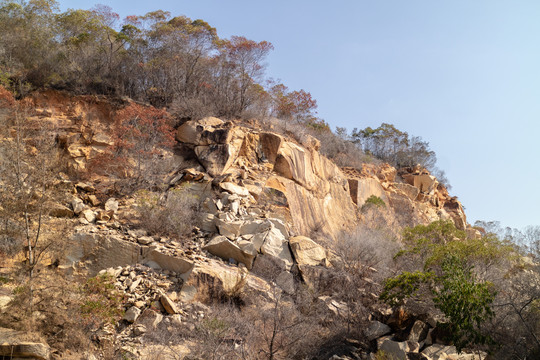 石山上树林突起