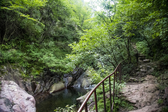 原始登山路