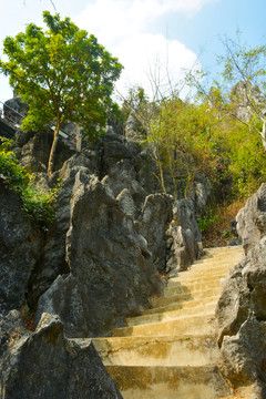 石林风景