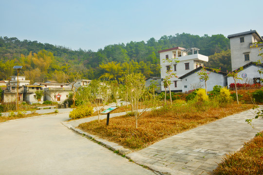 碧塘村风景