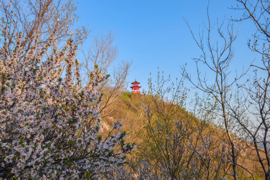 龙潭山春季