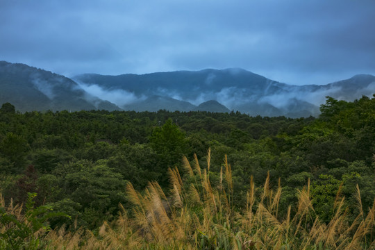 庐山西海