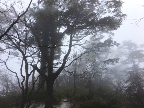 中国风山水