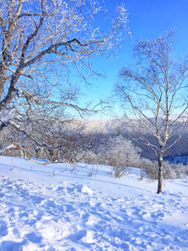 雾凇白雪