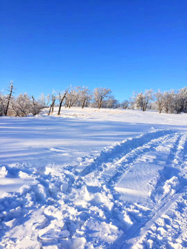 雾凇白雪