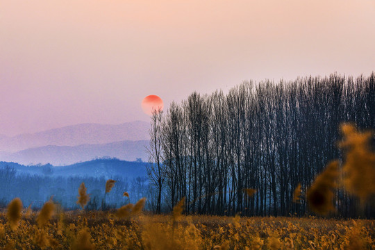 远山森林夕阳风景