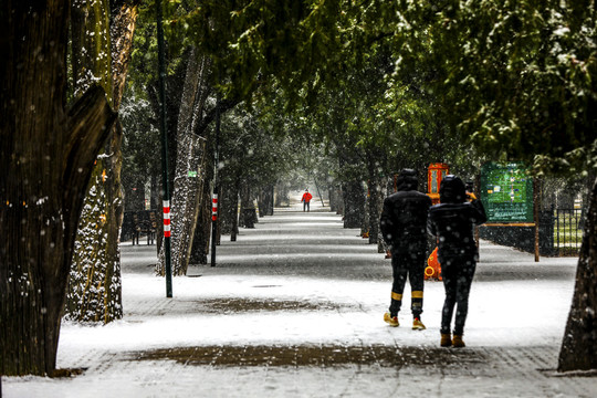 雪景路