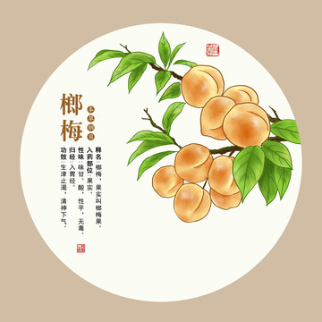 榔梅