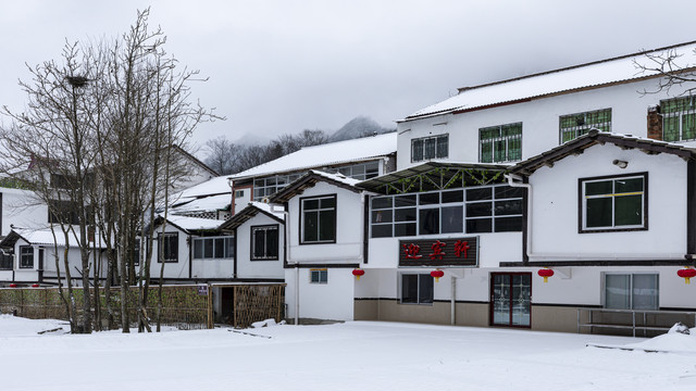 雪景