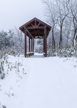 雪景