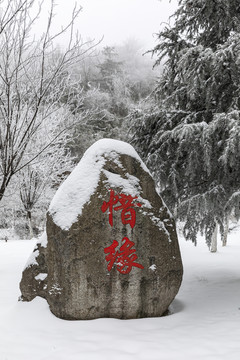 雪景