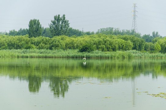 森林河湖