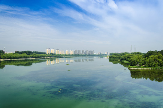 城市河流自然风景