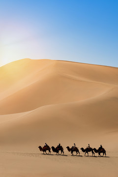 敦煌鸣沙山行走在沙漠中的骆驼队