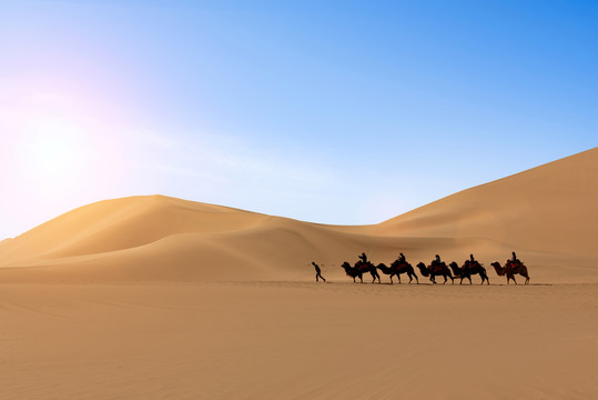 敦煌鸣沙山行走在沙漠中的骆驼队
