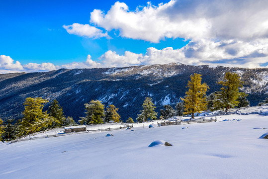 雪景