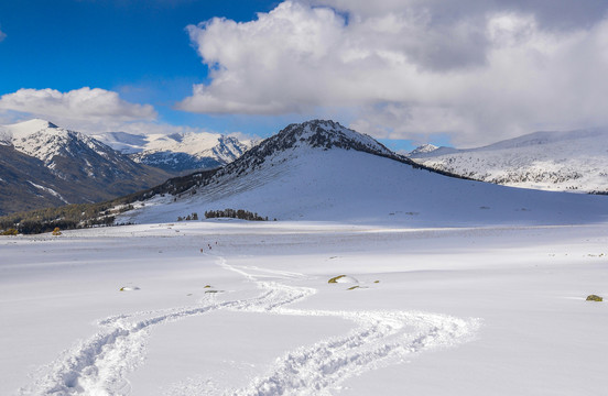 雪景