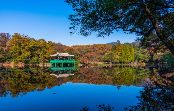 南京中山陵