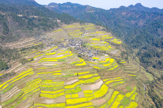 湖南湘西岩排溪梯田油菜花