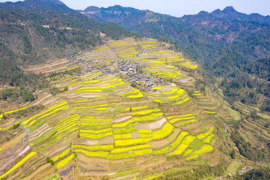 湖南湘西岩排溪梯田油菜花