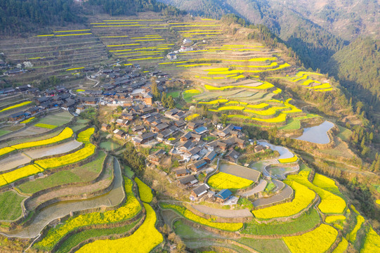 湖南湘西岩排溪梯田油菜花