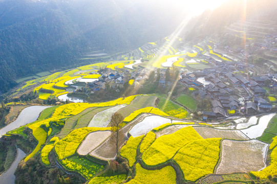 湖南湘西岩排溪梯田油菜花