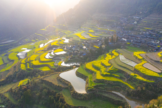 湖南湘西岩排溪梯田油菜花