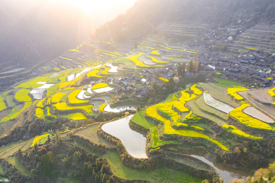 湖南湘西岩排溪梯田油菜花