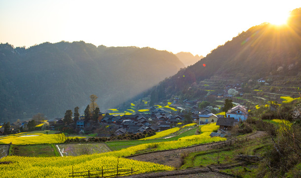 湖南湘西岩排溪梯田油菜花