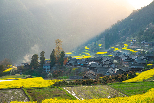 湖南湘西岩排溪梯田油菜花