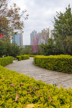 云南玉溪城市绿化景观