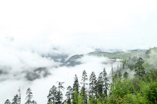 香格里拉