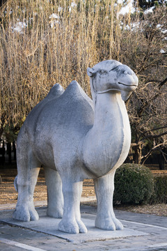 石雕骆驼