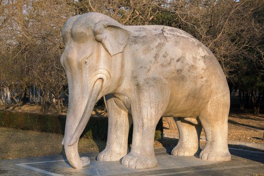石象