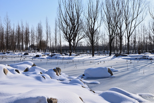 雪景