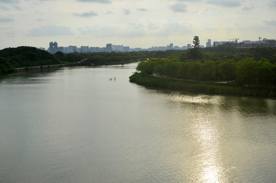 海珠湿地