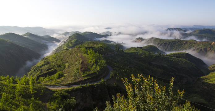 高原晨雾