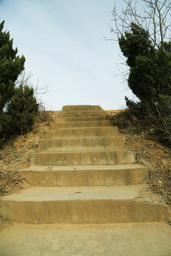 水泥阶梯
